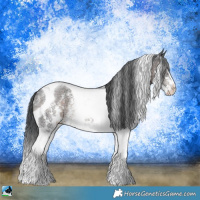 Horse Color:Brown Sabino Tobiano Rabicano