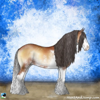 Horse Color:Brown Onyx Sabino Splash 
