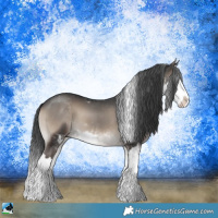 Horse Color:Blue Onyx Sabino Splash 