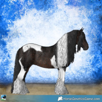 Horse Color:Brown Ice Tobiano Rabicano 