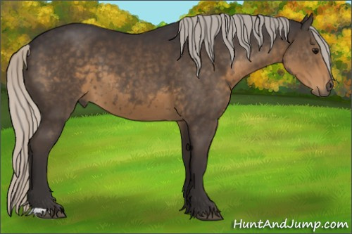 Horse Color:Silver Smoky Black 