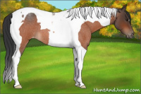 Horse Color:Brown Roan Tobiano Varnish 