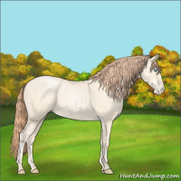 Horse Color:Classic Cream Champagne Pearl 
