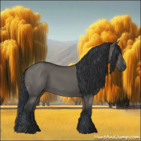 Horse Color:Grullo Sabino Rabicano 