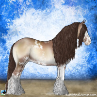 Horse Color:Classic Champagne Onyx Sabino