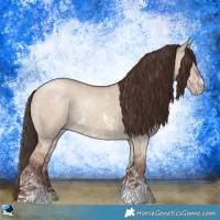 Horse Color:Classic Champagne Dun Sabino Rabicano 