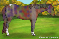 Horse Color:Nacre Liver Chestnut Sabino Tobiano Rabicano 