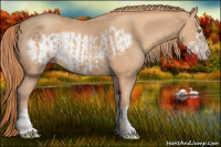 Horse Color:Gold Champagne  and Gold Champagne Frame 