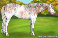 Horse Color:White Spotted Silver Bay Ice 