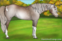 Horse Color:Gray Silver Black Pearl Tobiano
