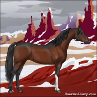 Horse Color:Brown 