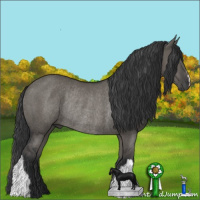 Horse Color:Grullo Rabicano 