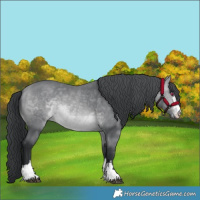 Horse Color:Bay Chinchilla 