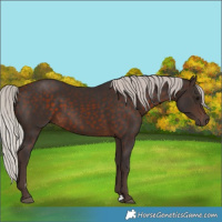 Horse Color:Silver Brown 
