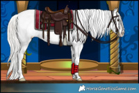 Horse Color:Silver Bay Dun Splash Tobiano Appaloosa 