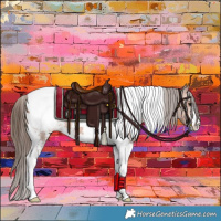 Horse Color:Bay Sabino Tobiano Appaloosa 