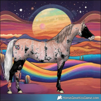 Horse Color:Silver Brown Dun Sabino Splash