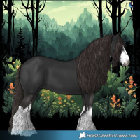 Horse Color:Gray White Spotted Liver Chestnut 