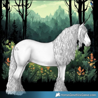 Horse Color:Gray White Spotted Liver Chestnut 