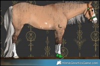 Horse Color:Brown Dun and Silver Brown Dun