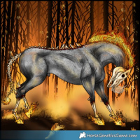 Horse Color:Blue Roan 