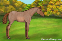 Horse Color:Red Roan 
