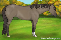 Horse Color:Smoky Grullo 
