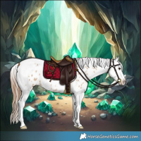 Horse Color:Red Dun Tobiano Appaloosa 