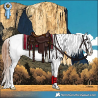 Horse Color:Bay Dun Sabino Tobiano Appaloosa 