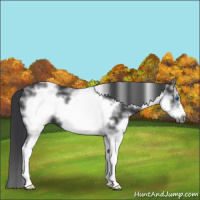 Horse Color:White Spotted Black Frame 