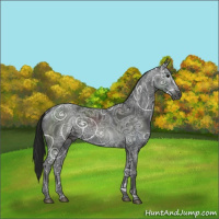 Horse Color:Gray Black Ice 
