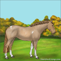 Horse Color:Red Roan Tobiano 