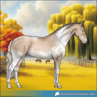 Horse Color:White Spotted Chocolate Palomino Pearl 