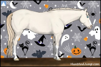 Horse Color:Perlino Dun Splash 