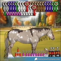 Horse Color:White Spotted Liver Red Dun Mushroom 
