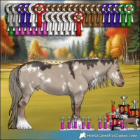 Horse Color:White Spotted Liver Red Dun Mushroom