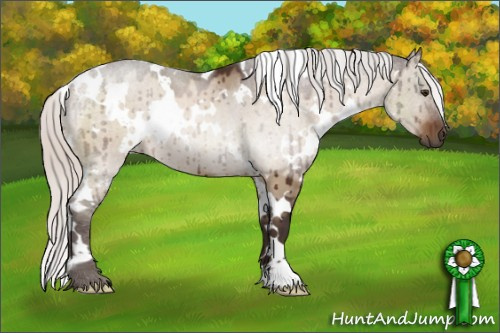 Horse Color:White Spotted Silver Brown Dun Brindle 
