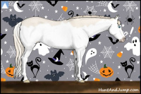 Horse Color:Smoky Creme Dun Splash 