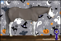 Horse Color:Smoky Grullo Splash 