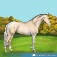 Horse Color:Silver Buckskin Pearl Tobiano