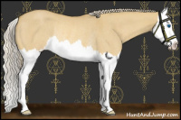 Horse Color:Palomino Roan Dun Mushroom Splash Rabicano