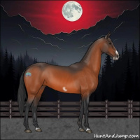 Horse Color:Bay Splash Frame Rabicano