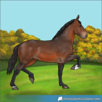 Horse Color:Brown 