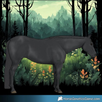Horse Color:Black 