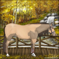 Horse Color:Classic Champagne and Amber Champagne