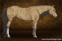 Horse Color:Bay  and Buckskin 