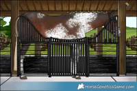 Horse Color:White Spotted Liver Chestnut Tobiano 