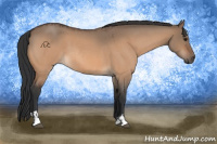 Horse Color:Bay Roan Dun  and Bay Roan Dun 