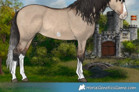 Horse Color:Bay Dun Splash Frame Rabicano 