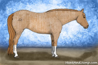 Horse Color:Red Roan Tobiano  and Red Roan Tobiano 